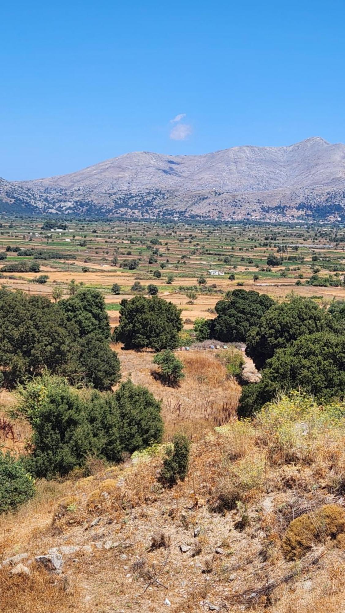 Hotel Dionysus Lasithi Plateau Magoulás Exteriér fotografie